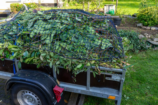 Best Hoarding Cleanup  in Bethel, OH